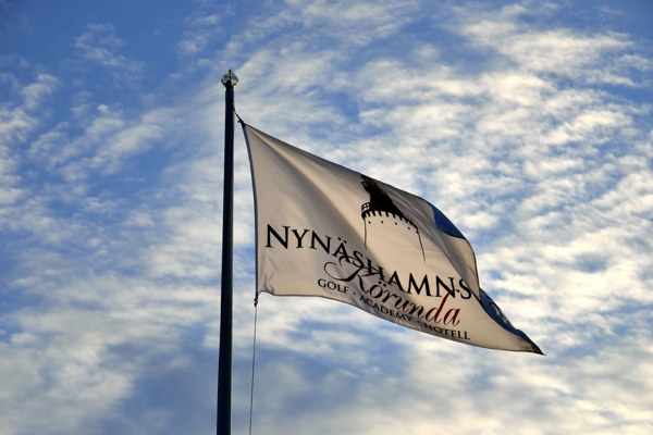 Årsmöte & årsstämma 2024