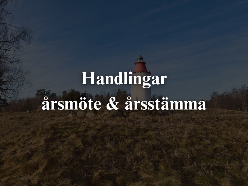 Handlingar till årsmöte & årsstämma 2025
